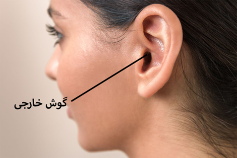 external-ear-anatomy