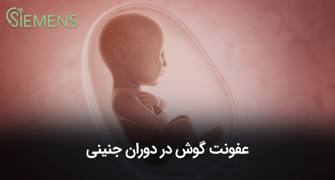 عفونت گوش در دوران جنینی